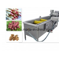 Vegetable Processing Brush Roller Washing Machine