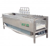 Lemon Washer Machine Brush Washing and Peeling Vegetable Fruit Roller Machine Cleaning Machine Food Machinery