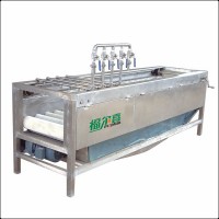 Citrus Lemon Orange Washer Machine Brush Washing and Peeling Vegetable Fruit Roller Machine Cleaning Machine Food Machinery